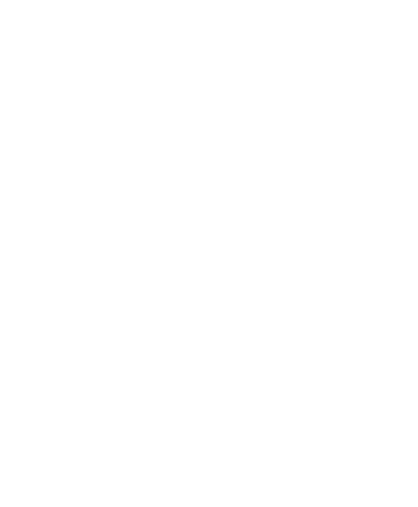 Background pattern - shabek pattern